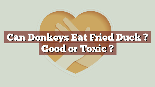 Can Donkeys Eat Fried Duck ? Good or Toxic ?