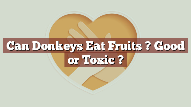 Can Donkeys Eat Fruits ? Good or Toxic ?