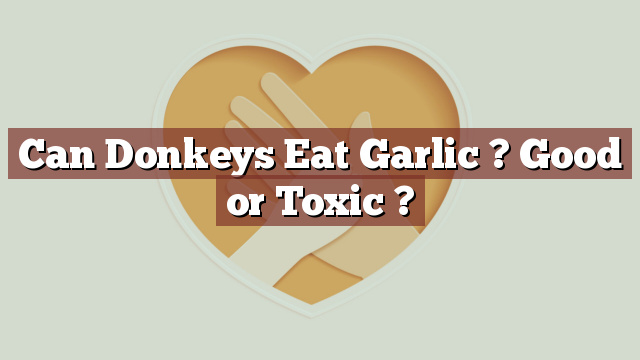 Can Donkeys Eat Garlic ? Good or Toxic ?