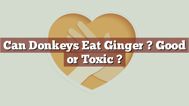 Can Donkeys Eat Ginger ? Good or Toxic ?