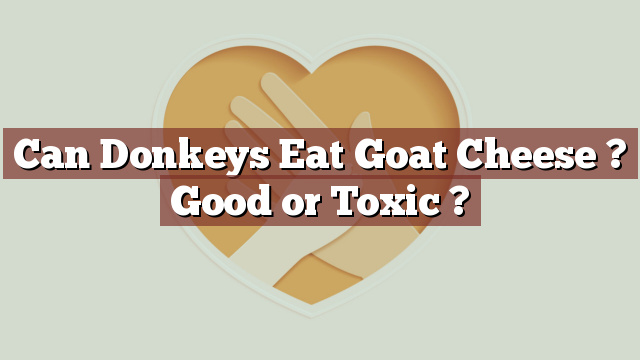 Can Donkeys Eat Goat Cheese ? Good or Toxic ?