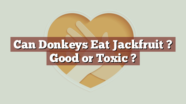 Can Donkeys Eat Jackfruit ? Good or Toxic ?