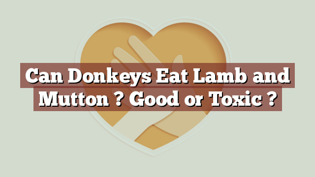 Can Donkeys Eat Lamb and Mutton ? Good or Toxic ?