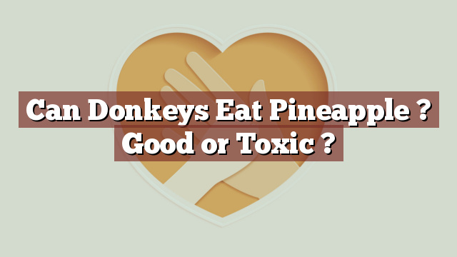 Can Donkeys Eat Pineapple ? Good or Toxic ?