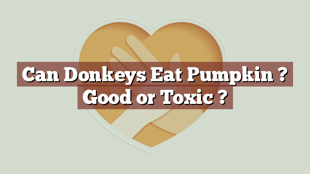 Can Donkeys Eat Pumpkin ? Good or Toxic ?