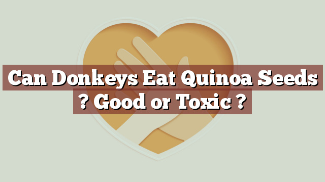 Can Donkeys Eat Quinoa Seeds ? Good or Toxic ?