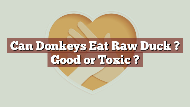 Can Donkeys Eat Raw Duck ? Good or Toxic ?