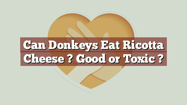 Can Donkeys Eat Ricotta Cheese ? Good or Toxic ?
