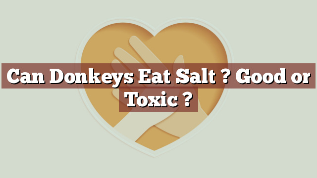 Can Donkeys Eat Salt ? Good or Toxic ?