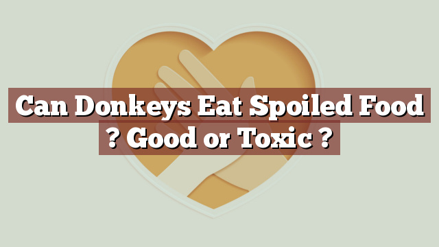 Can Donkeys Eat Spoiled Food ? Good or Toxic ?