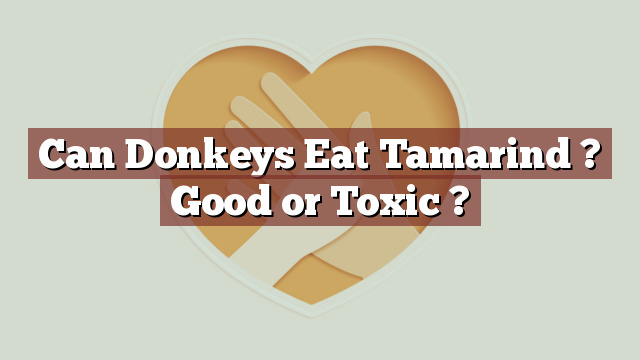 Can Donkeys Eat Tamarind ? Good or Toxic ?