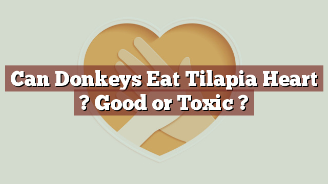 Can Donkeys Eat Tilapia Heart ? Good or Toxic ?