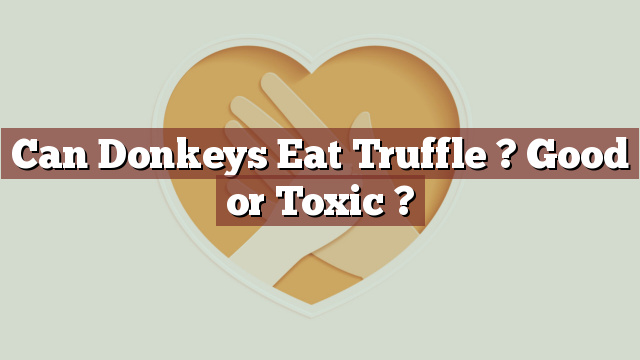 Can Donkeys Eat Truffle ? Good or Toxic ?