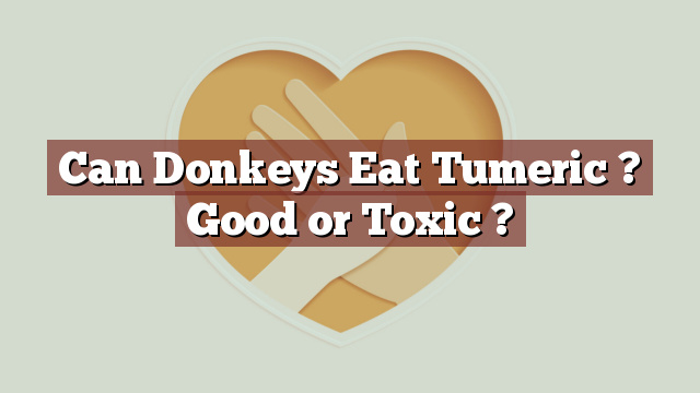 Can Donkeys Eat Tumeric ? Good or Toxic ?