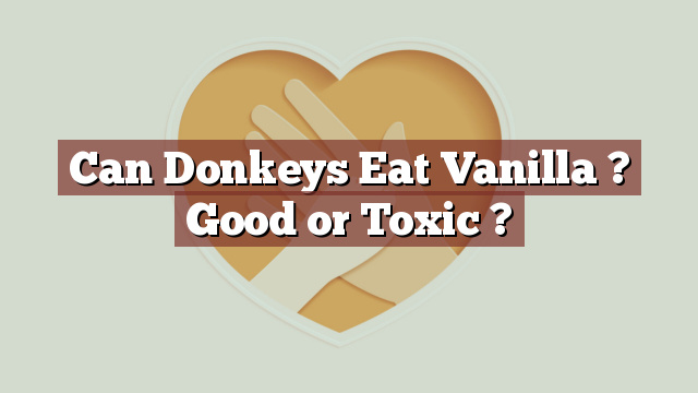 Can Donkeys Eat Vanilla ? Good or Toxic ?