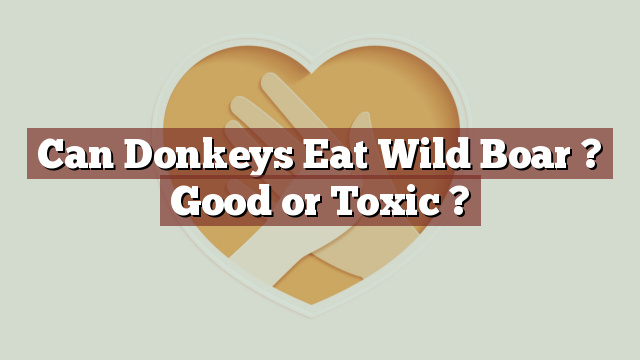 Can Donkeys Eat Wild Boar ? Good or Toxic ?