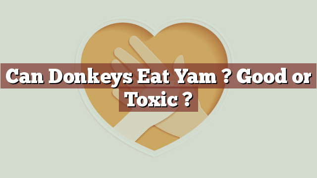 Can Donkeys Eat Yam ? Good or Toxic ?