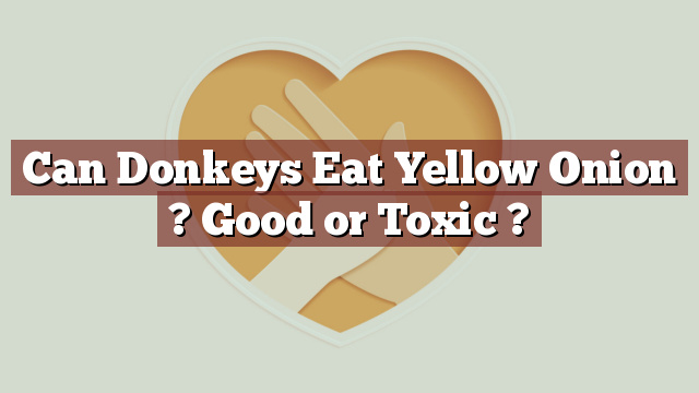 Can Donkeys Eat Yellow Onion ? Good or Toxic ?