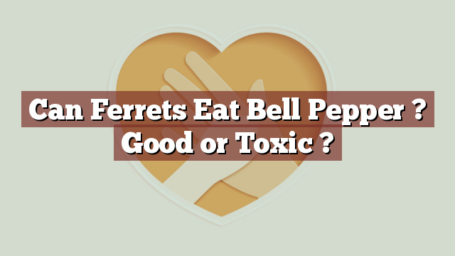 Can Ferrets Eat Bell Pepper ? Good or Toxic ?