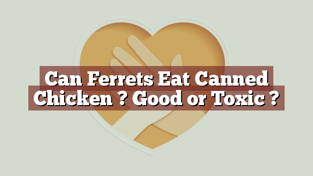 Can Ferrets Eat Canned Chicken ? Good or Toxic ?
