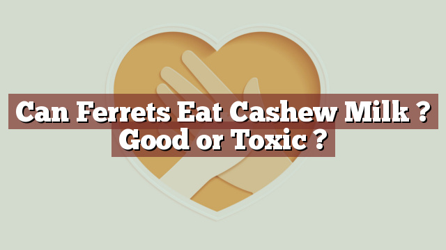 Can Ferrets Eat Cashew Milk ? Good or Toxic ?