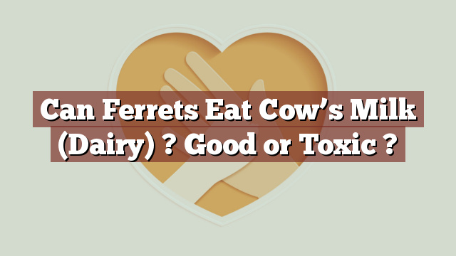 Can Ferrets Eat Cow’s Milk (Dairy) ? Good or Toxic ?
