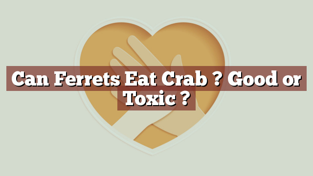 Can Ferrets Eat Crab ? Good or Toxic ?