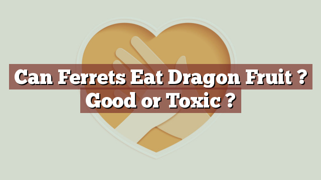Can Ferrets Eat Dragon Fruit ? Good or Toxic ?
