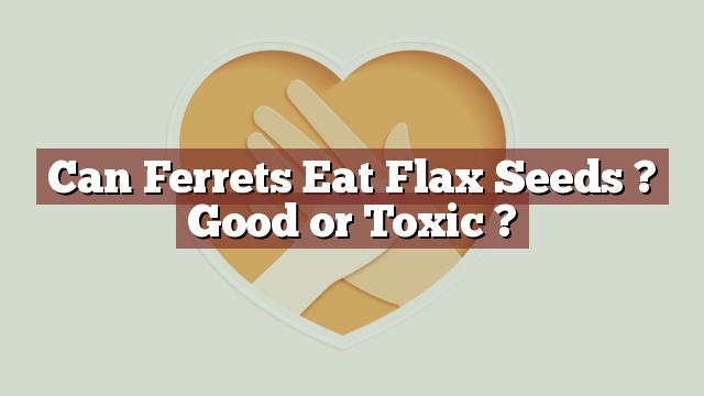 Can Ferrets Eat Flax Seeds ? Good or Toxic ?