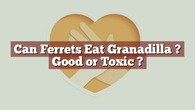 Can Ferrets Eat Granadilla ? Good or Toxic ?