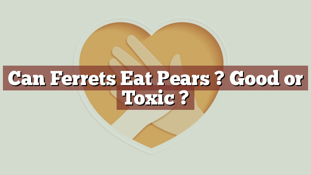 Can Ferrets Eat Pears ? Good or Toxic ?