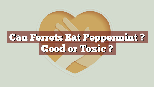 Can Ferrets Eat Peppermint ? Good or Toxic ?