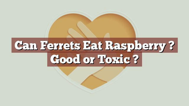 Can Ferrets Eat Raspberry ? Good or Toxic ?