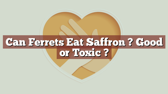 Can Ferrets Eat Saffron ? Good or Toxic ?