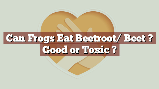 Can Frogs Eat Beetroot/ Beet ? Good or Toxic ?