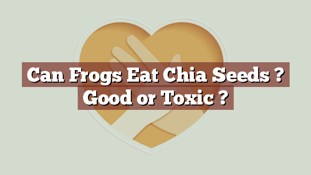 Can Frogs Eat Chia Seeds ? Good or Toxic ?