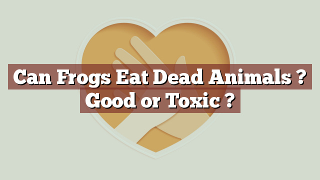Can Frogs Eat Dead Animals ? Good or Toxic ?