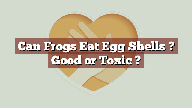 Can Frogs Eat Egg Shells ? Good or Toxic ?