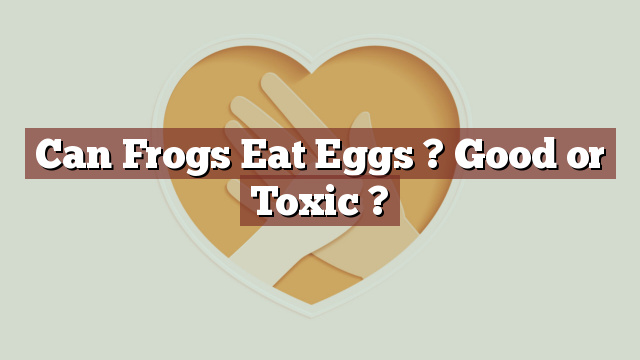 Can Frogs Eat Eggs ? Good or Toxic ?