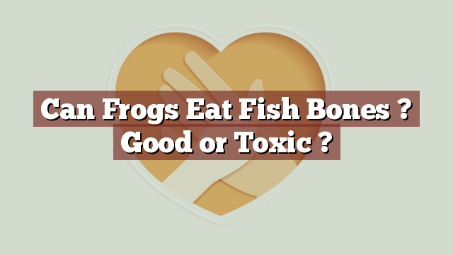 Can Frogs Eat Fish Bones ? Good or Toxic ?
