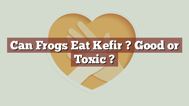 Can Frogs Eat Kefir ? Good or Toxic ?