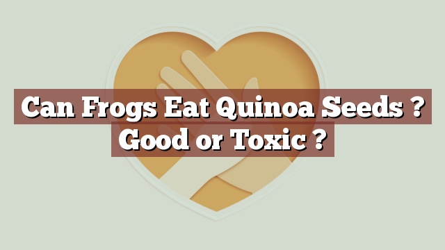 Can Frogs Eat Quinoa Seeds ? Good or Toxic ?