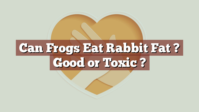 Can Frogs Eat Rabbit Fat ? Good or Toxic ?