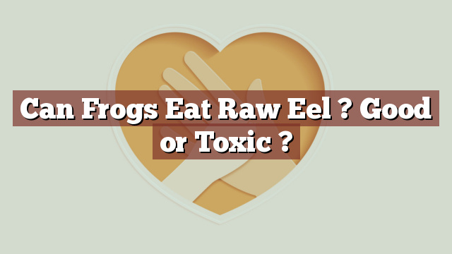 Can Frogs Eat Raw Eel ? Good or Toxic ?