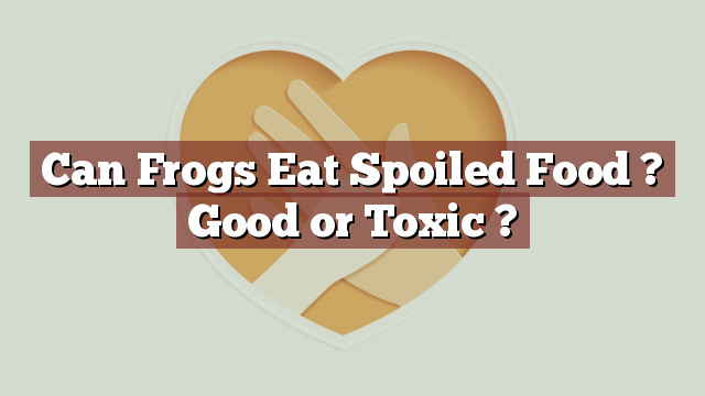 Can Frogs Eat Spoiled Food ? Good or Toxic ?