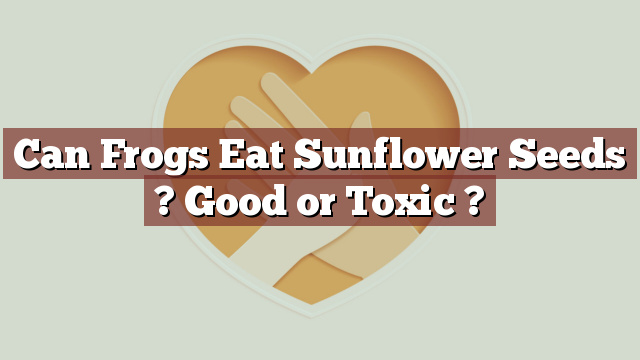Can Frogs Eat Sunflower Seeds ? Good or Toxic ?