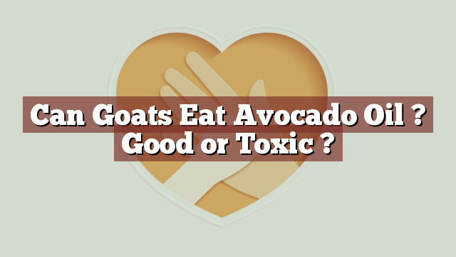 Can Goats Eat Avocado Oil ? Good or Toxic ?