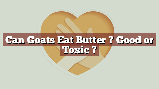 Can Goats Eat Butter ? Good or Toxic ?