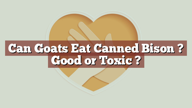 Can Goats Eat Canned Bison ? Good or Toxic ?