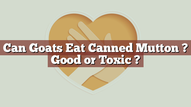 Can Goats Eat Canned Mutton ? Good or Toxic ?